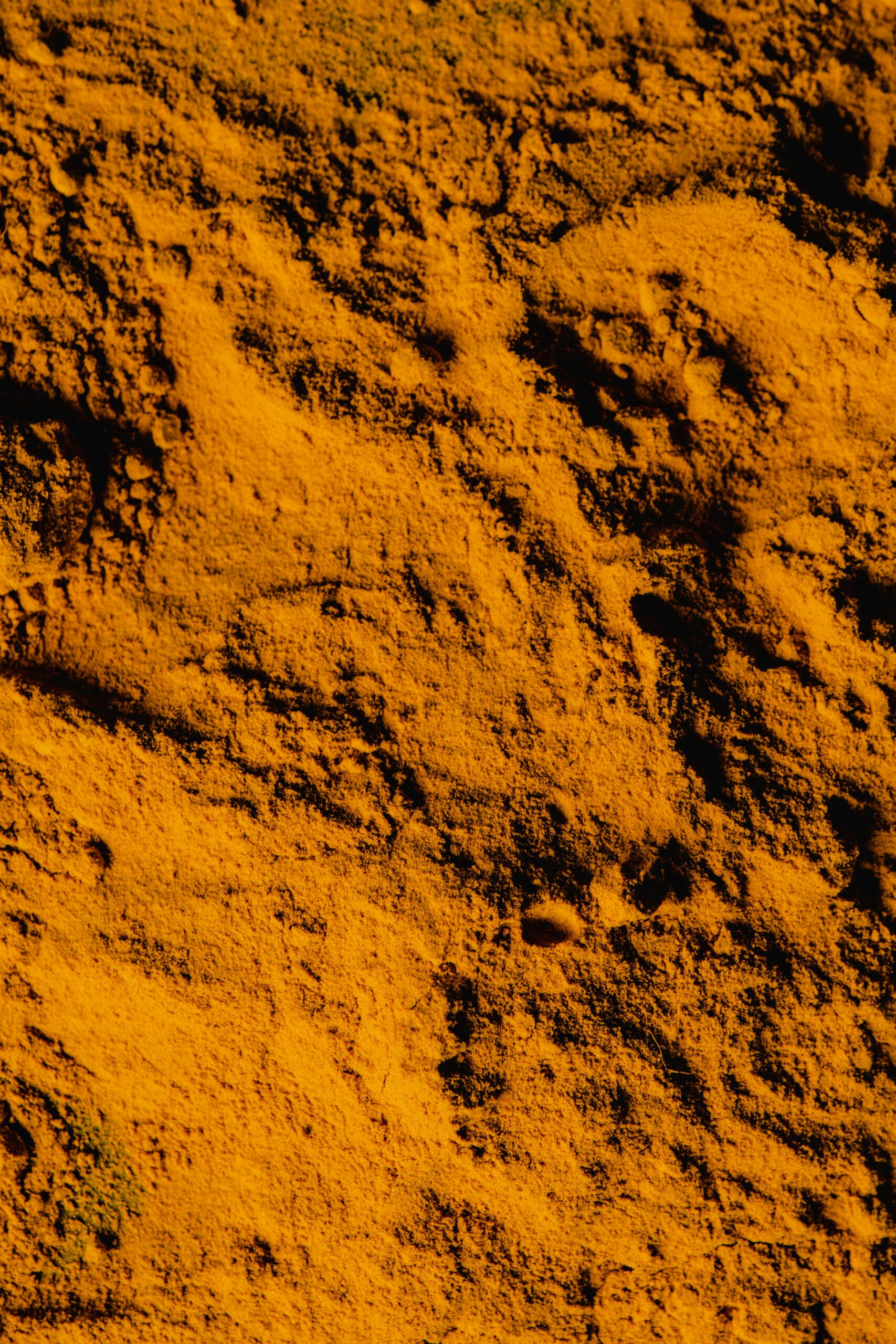 A detailed close-up of vibrant yellow turmeric powder showing its textured surface.